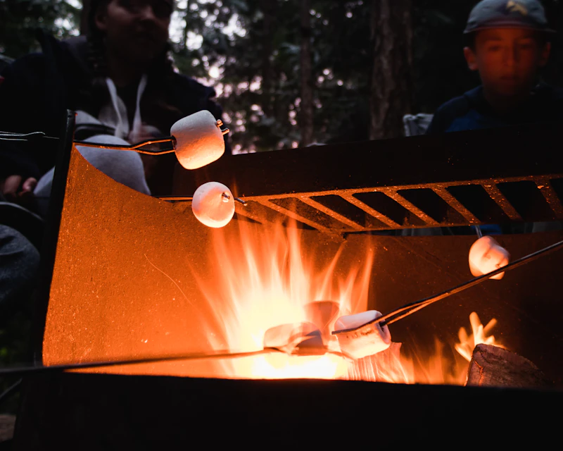 Campers toasting marshmallows over orange flames