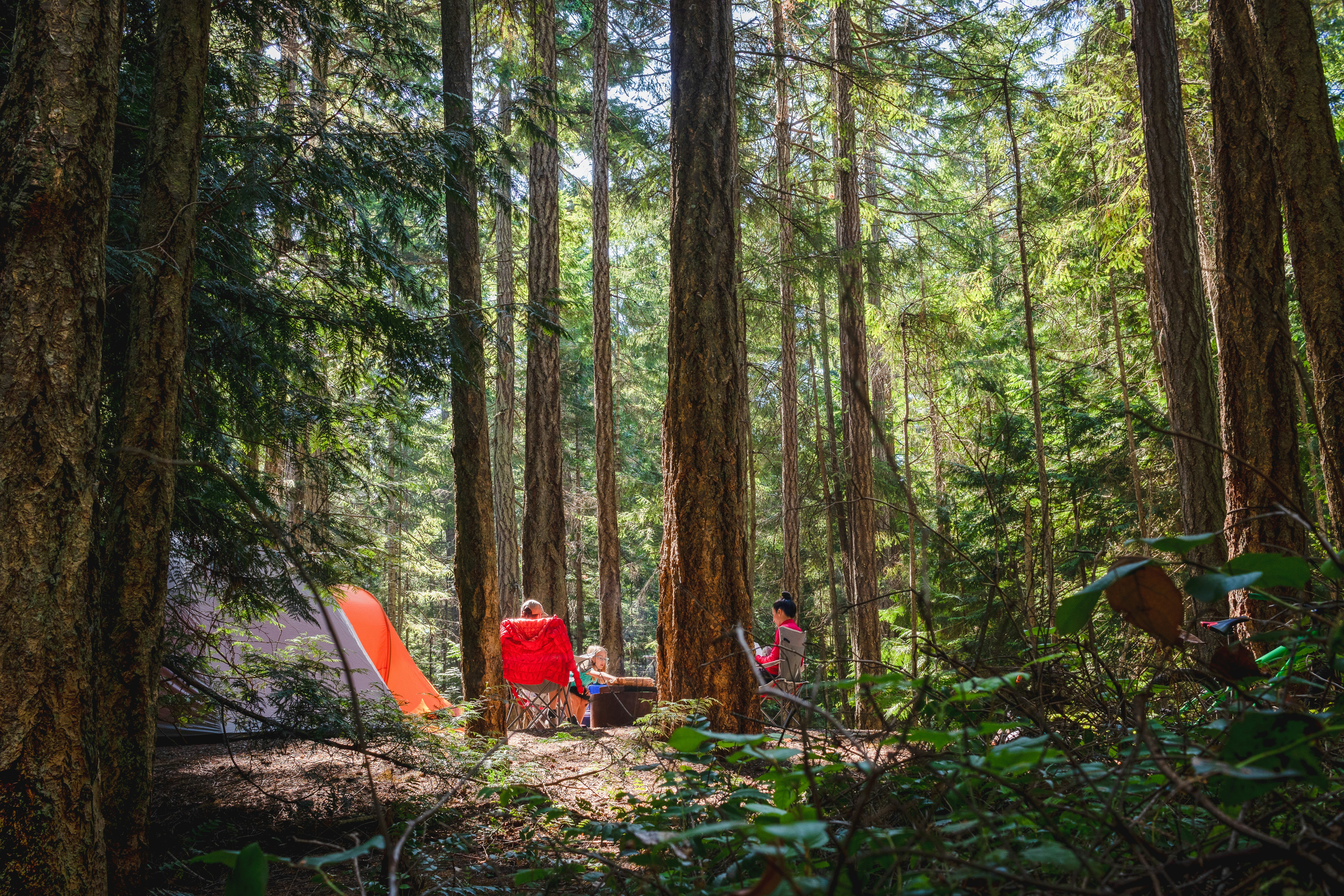 One Bad Weekend Doesn't Mean You Hate Camping: The Case for the Shakedown Trip