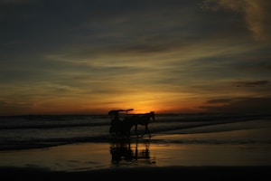 Photo 1584069853442 B9cbf99eafb8?q=85&w=300&h=400&fit=crop