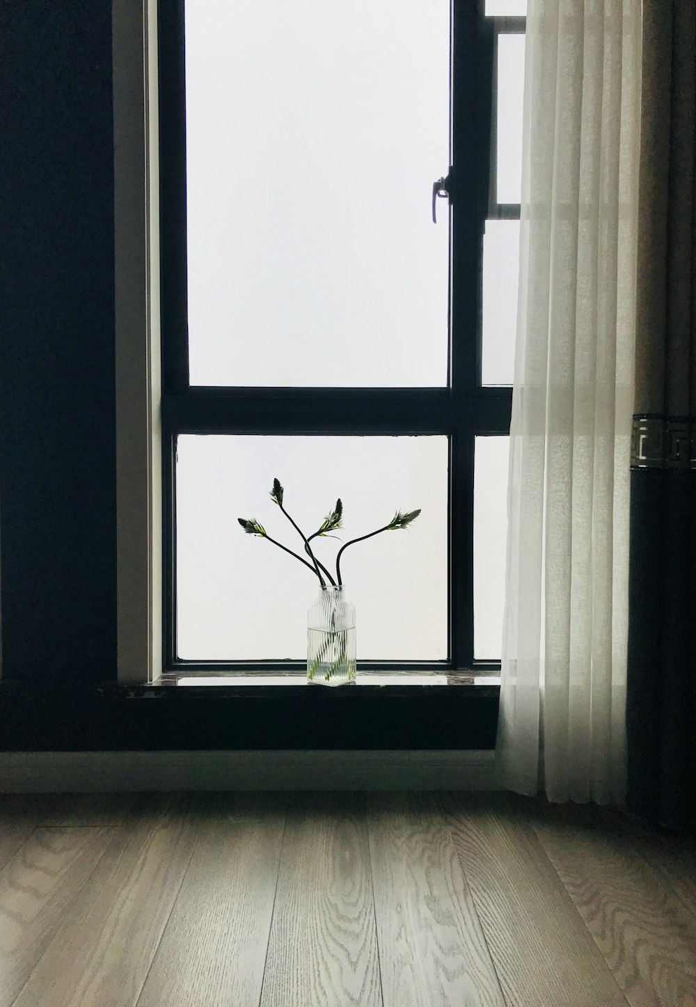 white flower on window during daytime