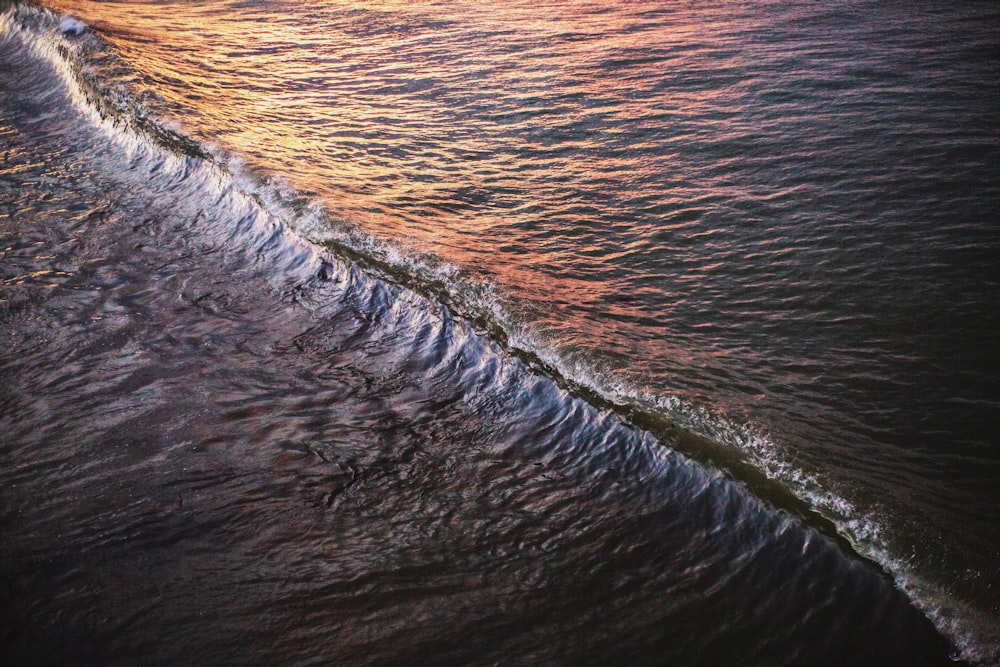 body of water during daytime