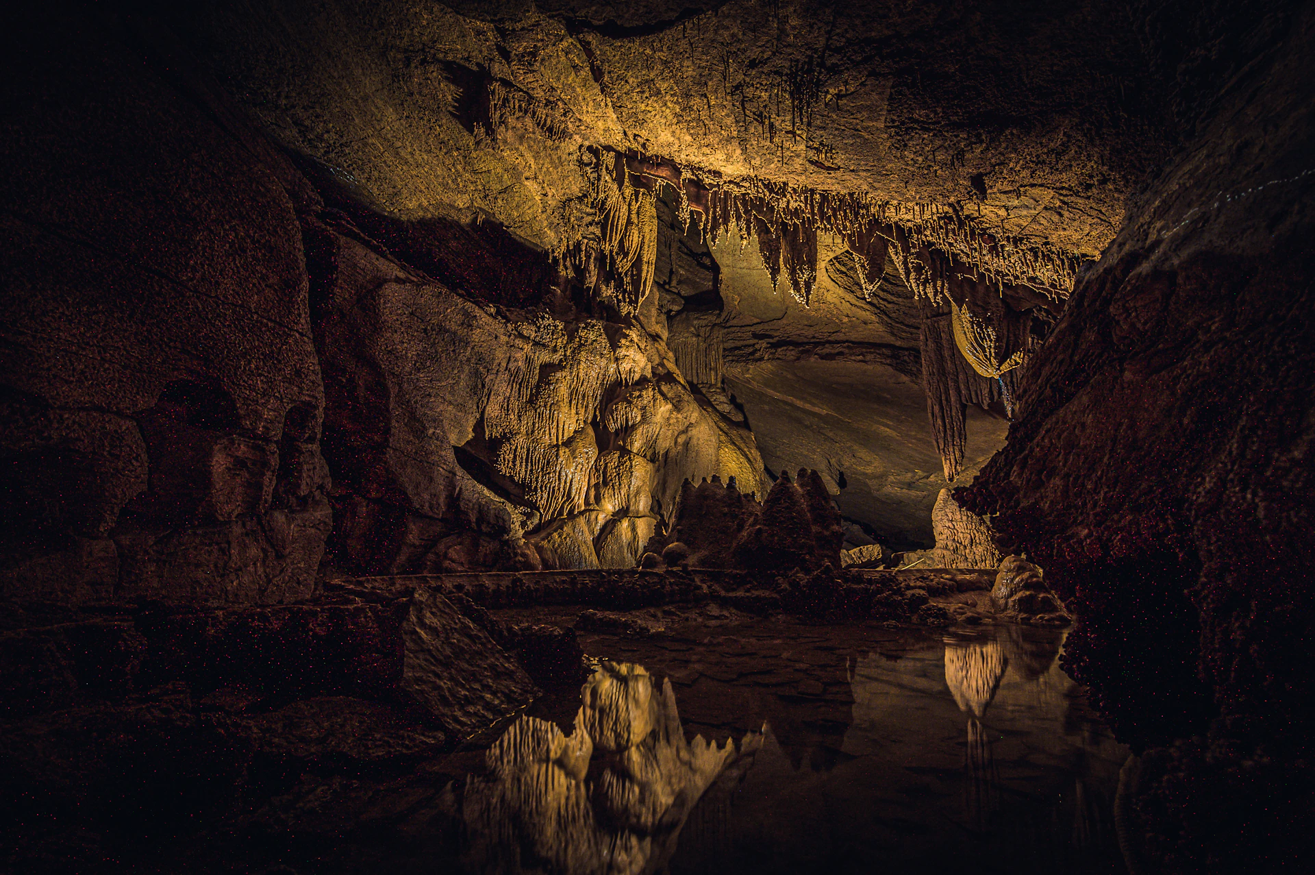 brown and black cave painting
