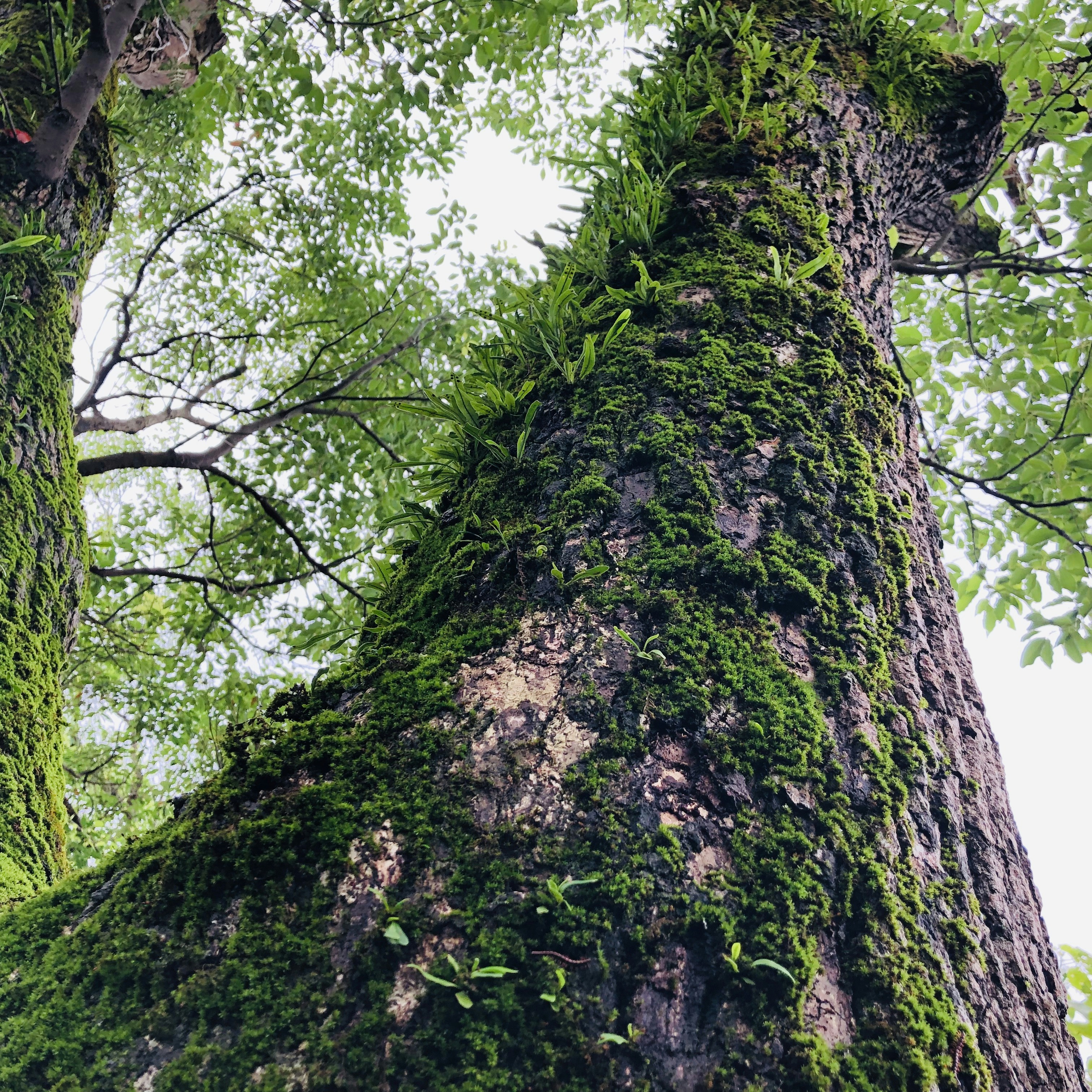 Photo by leoliang1230