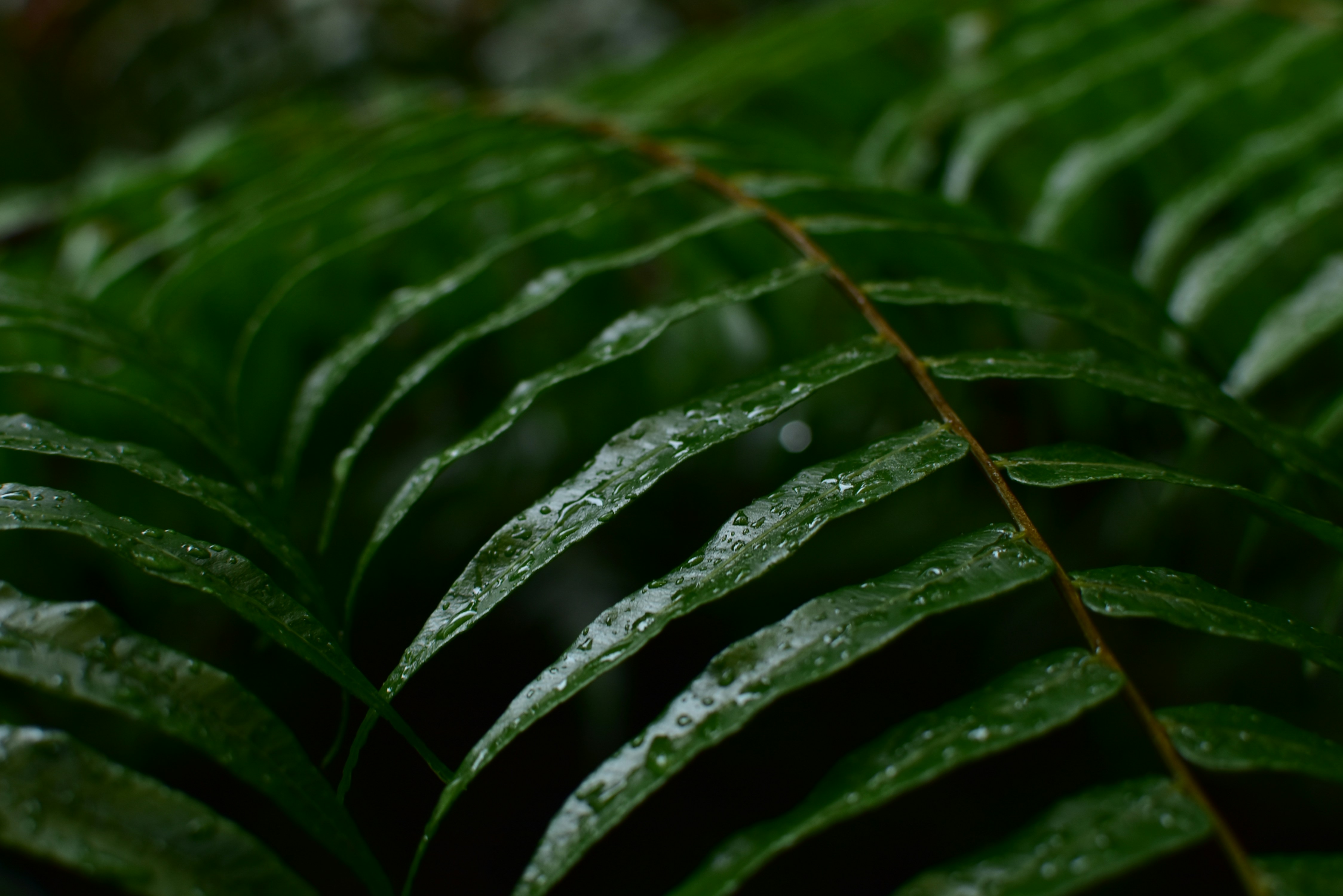 Photo by leoliang1230