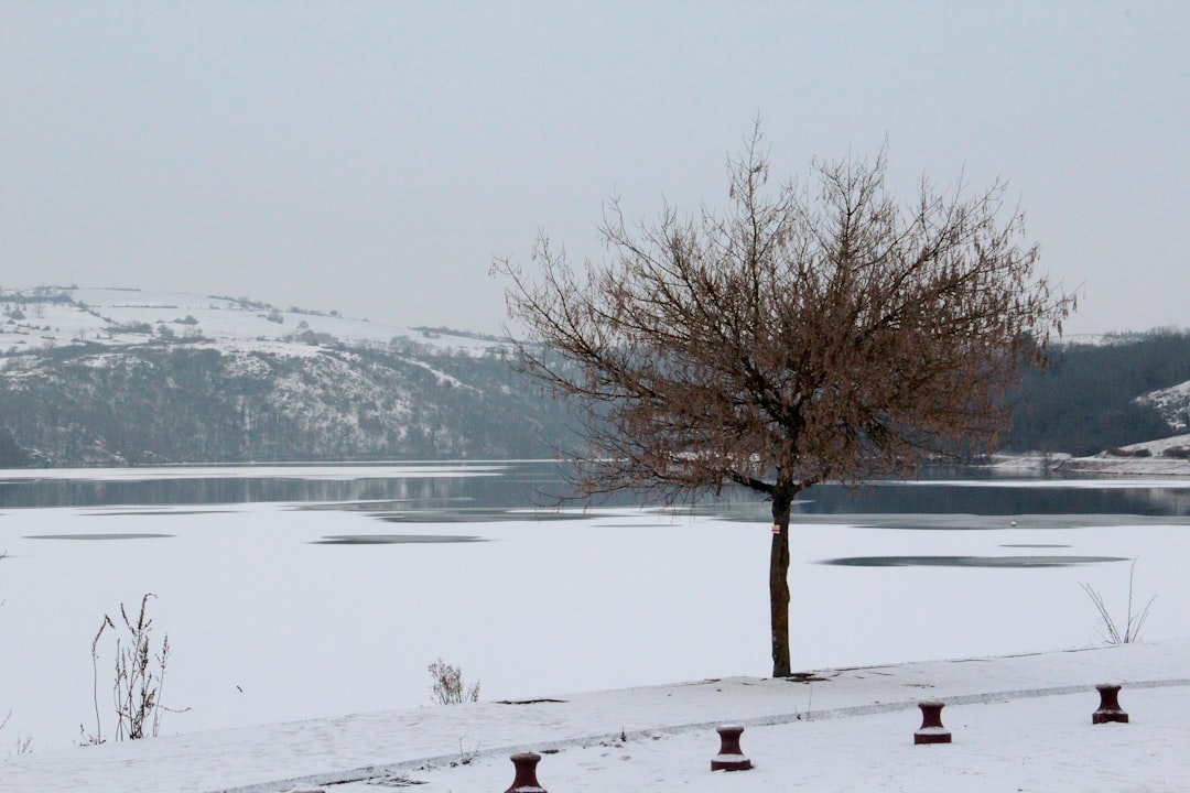 Lake photo spot Lac de Villerest Vichy