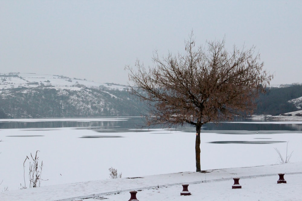 person in black jacket standing on snow covered ground during daytime