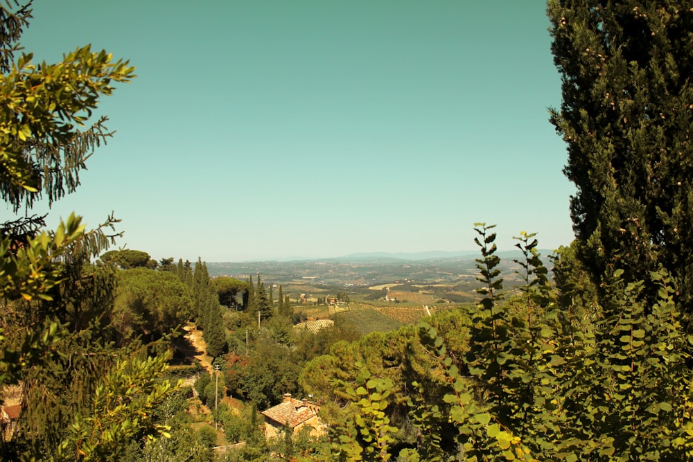 green trees and brown houses under blue sky during daytime