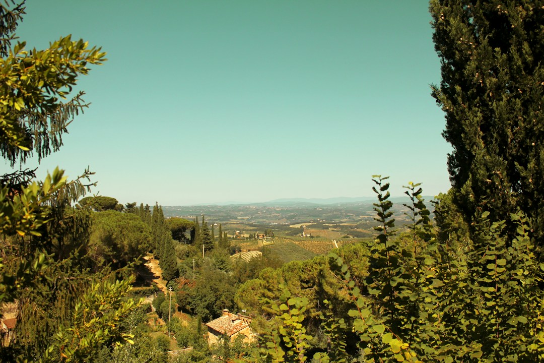 Visit San Gimignano