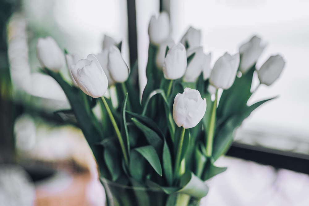 white flowers in clear glass vase