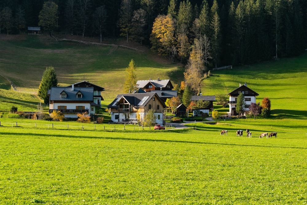 white and black house on green grass field near green trees during daytime