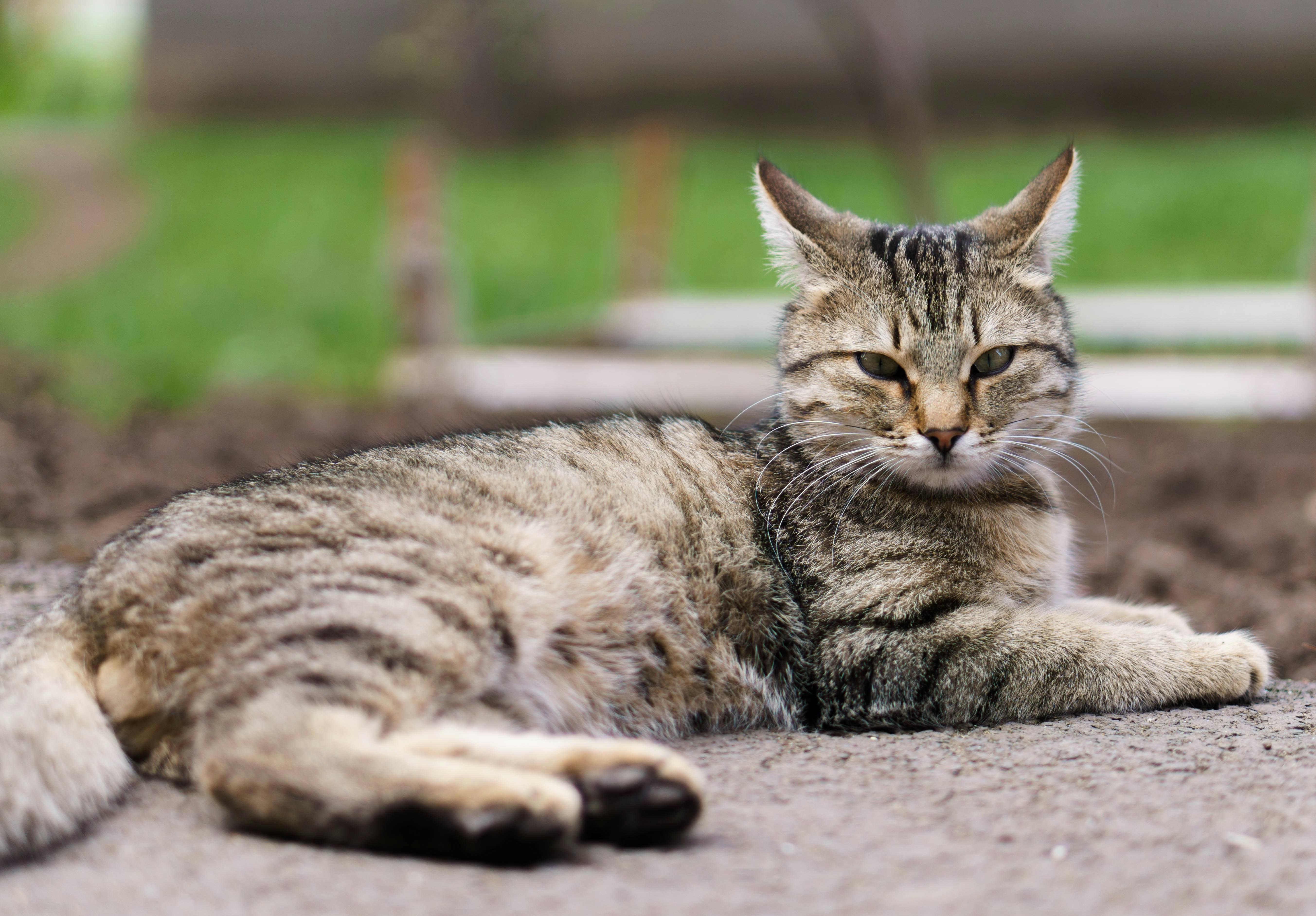 Photo by anton_bozhina