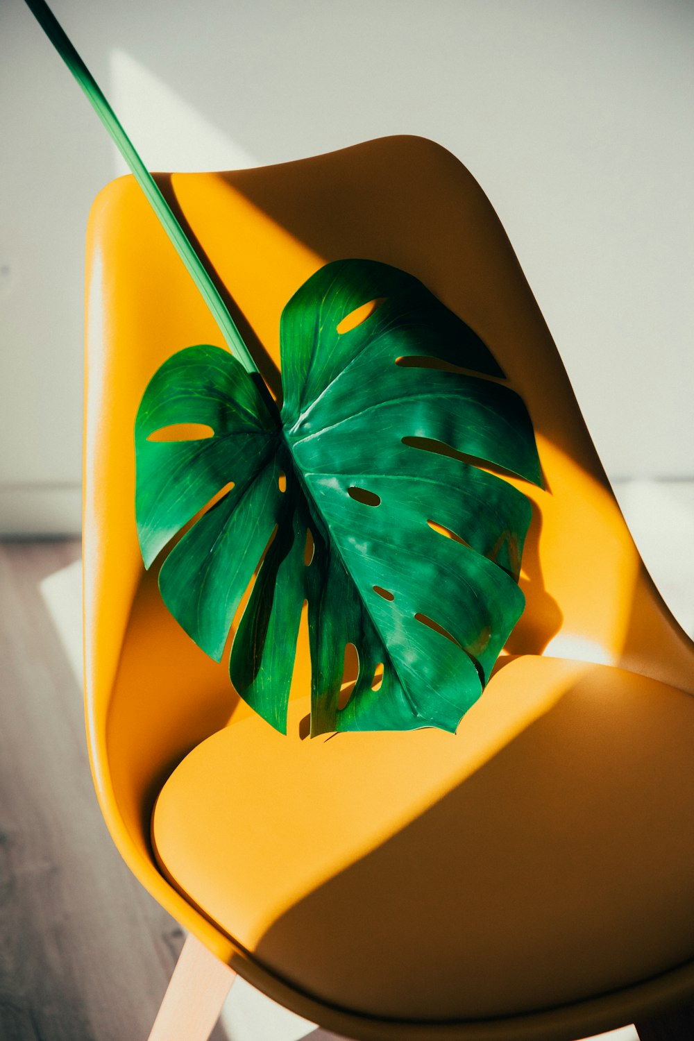 green leaf on yellow plastic chair
