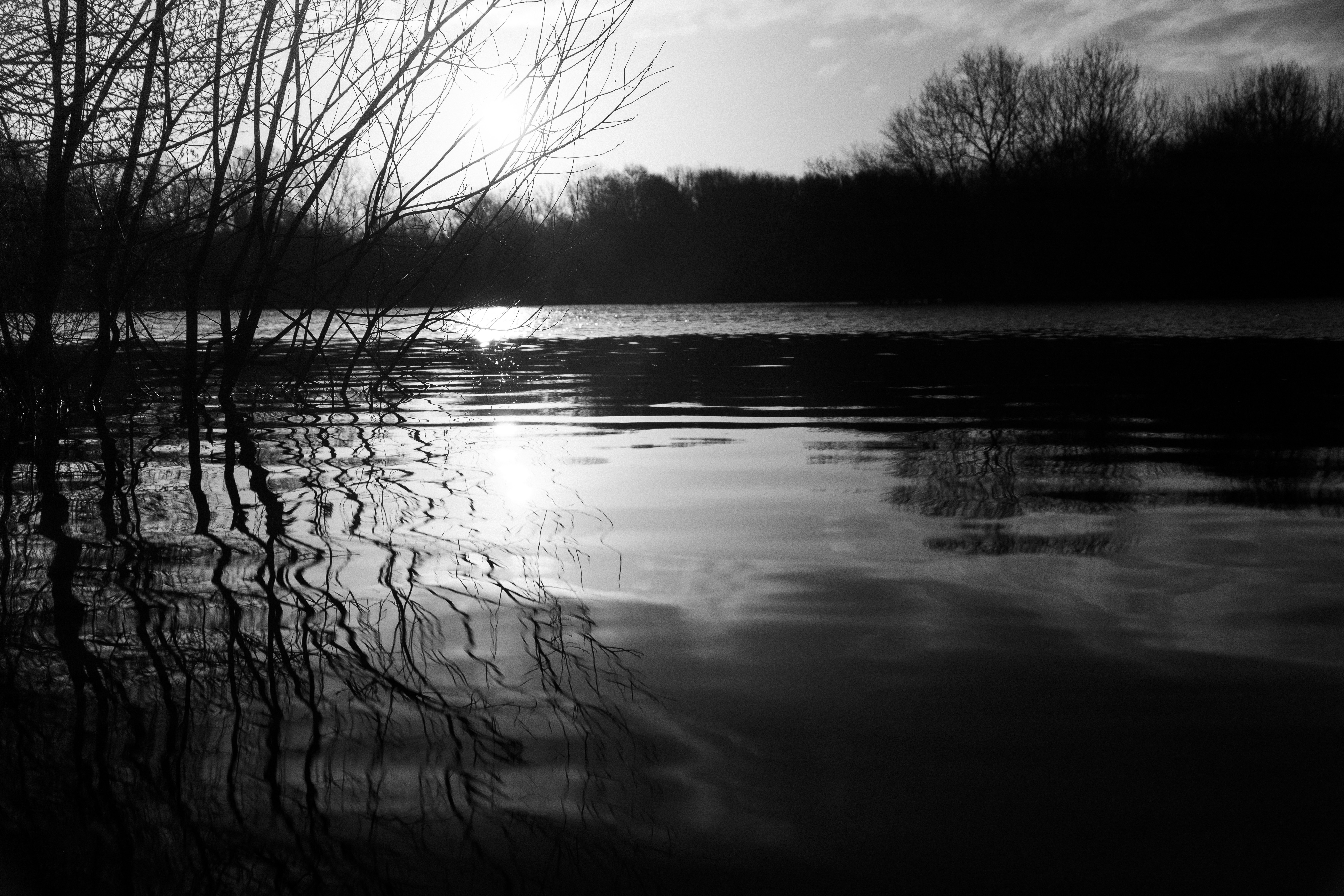 Photo by nervum