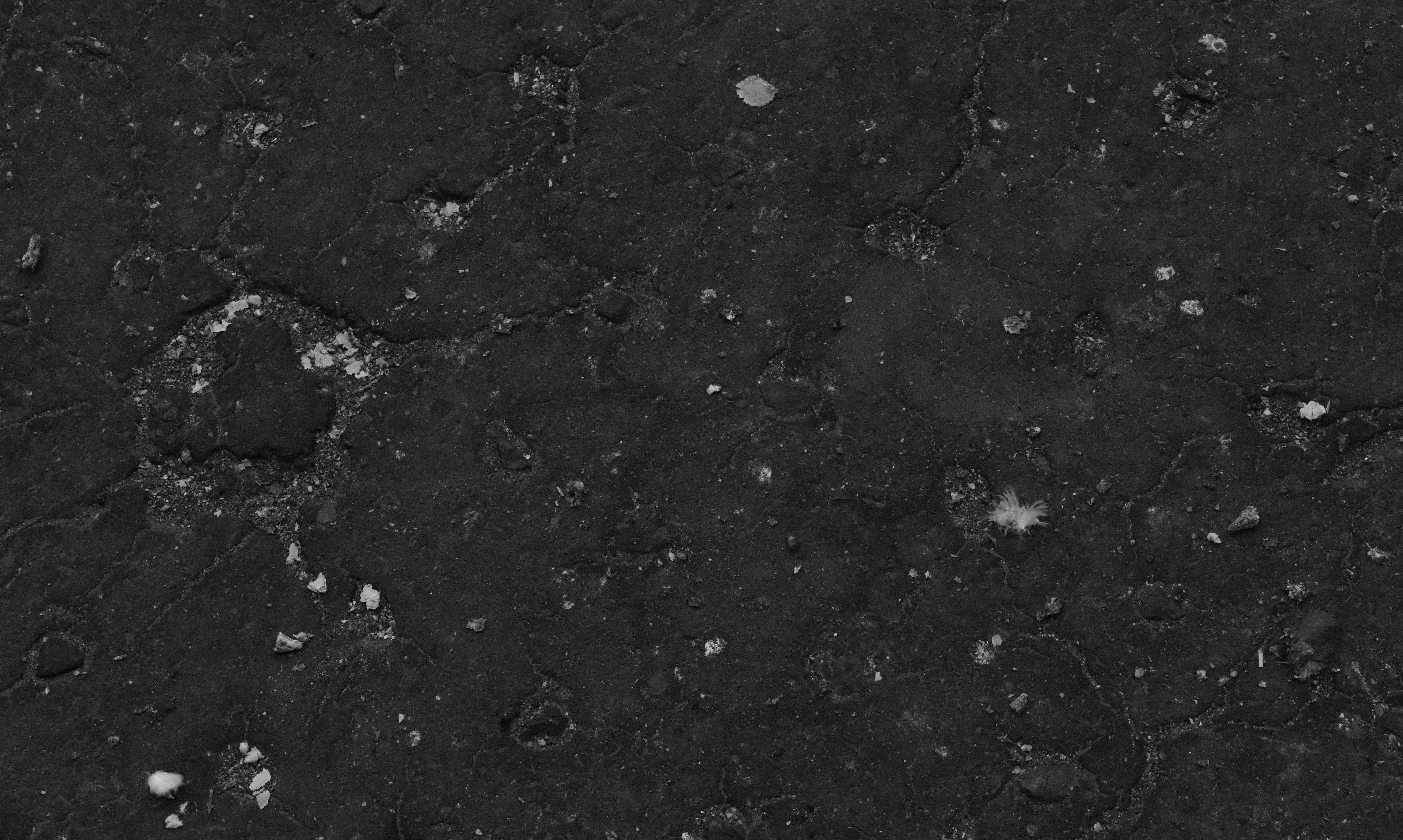 Photo by caminpocket