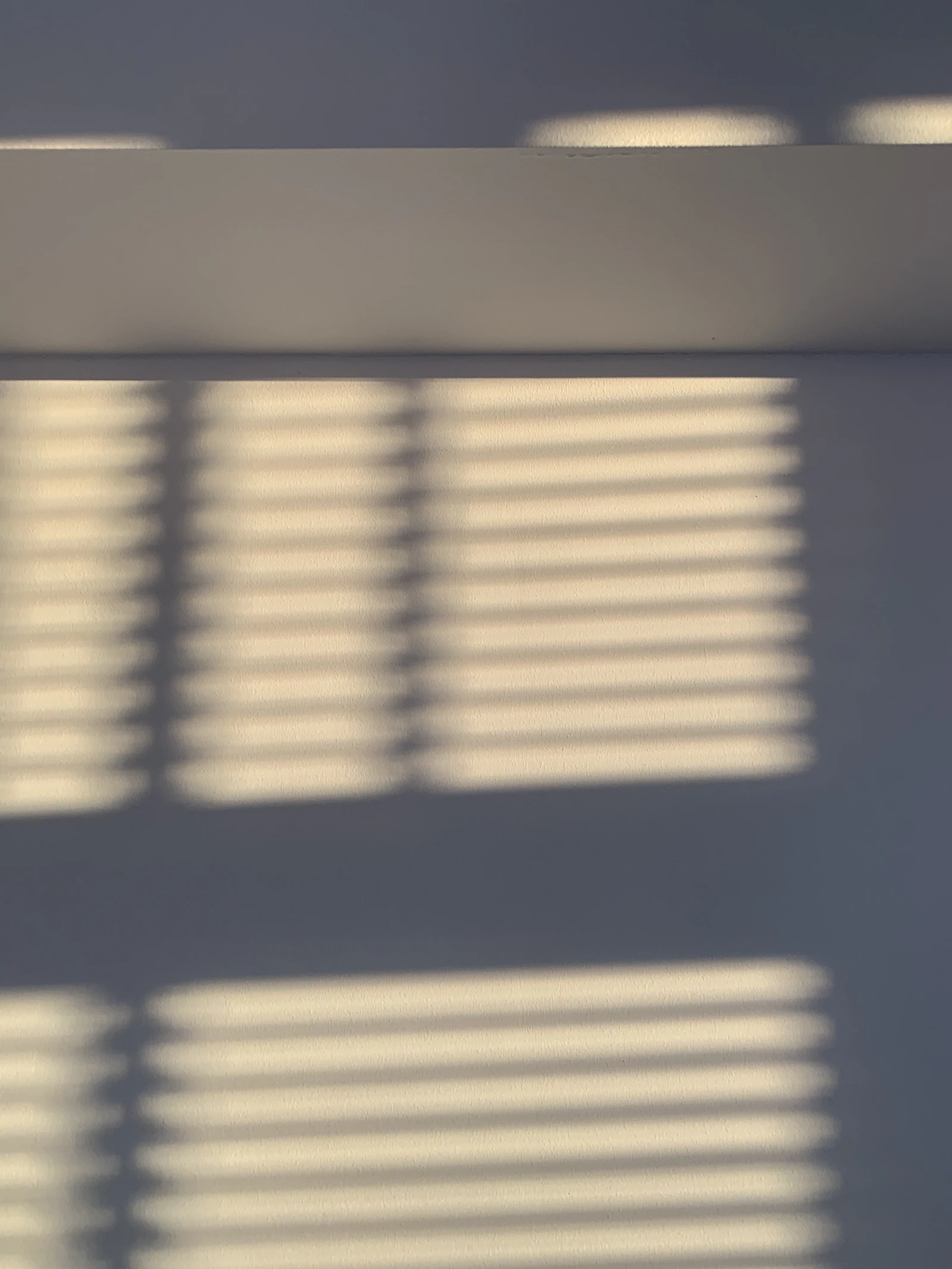 White window blinds on window