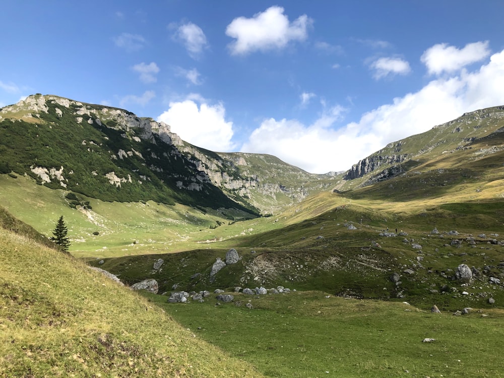 green grass field and mountains under blue sky during daytime