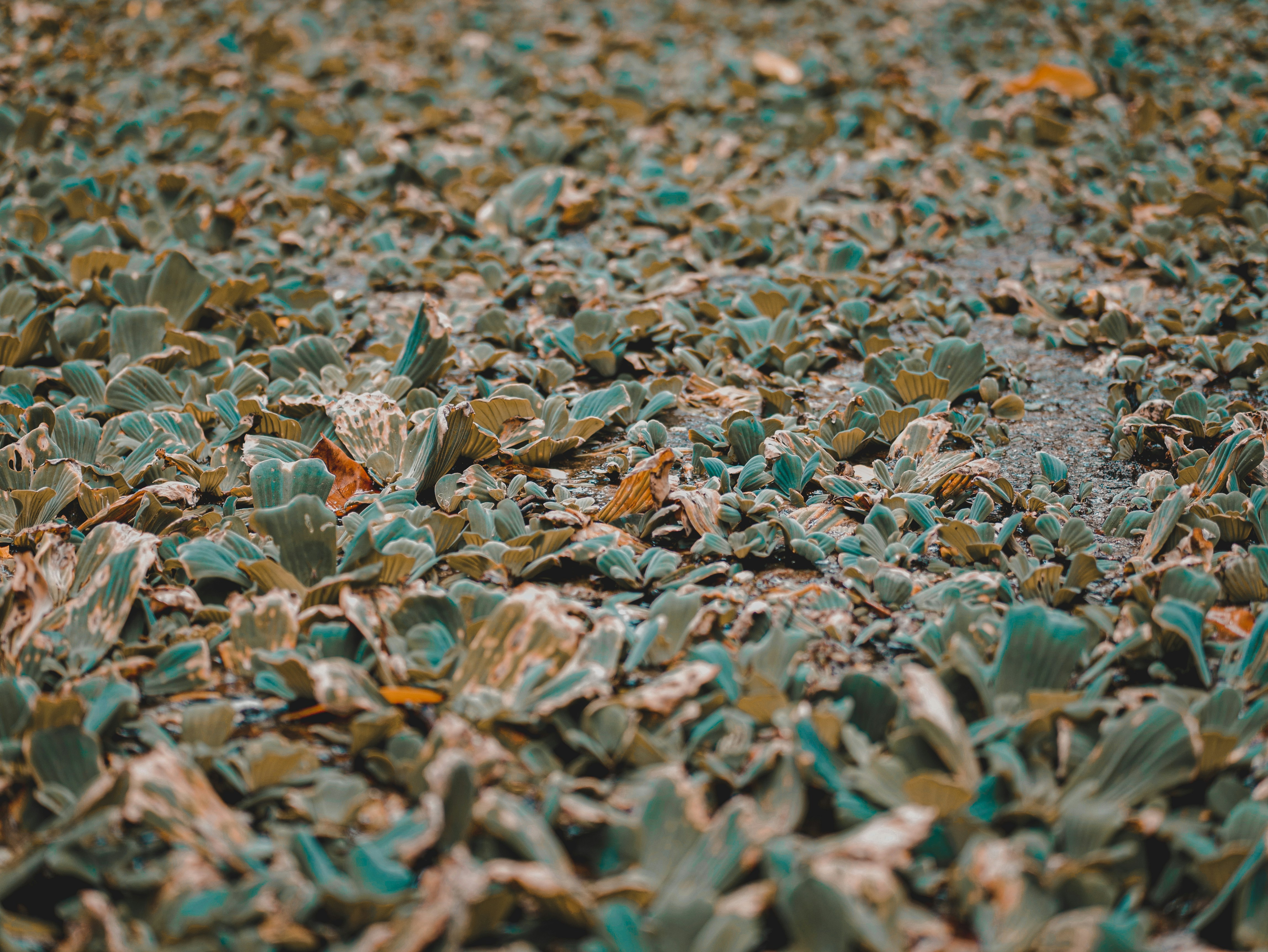 Photo by monis_yousafzai