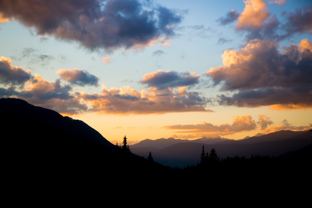 silhouette of trees under cloudy sky during sunset