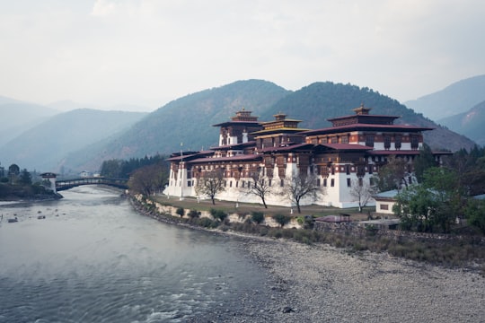 white and brown concrete building near body of water during daytime in Punakha Dzong Bhutan