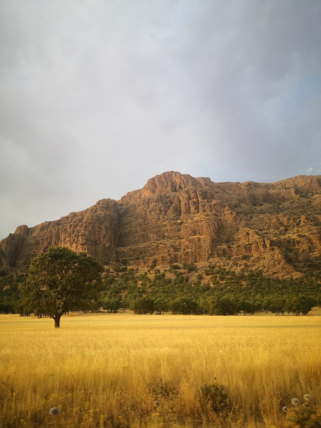 Plain photo spot Lorestan Province Luristan