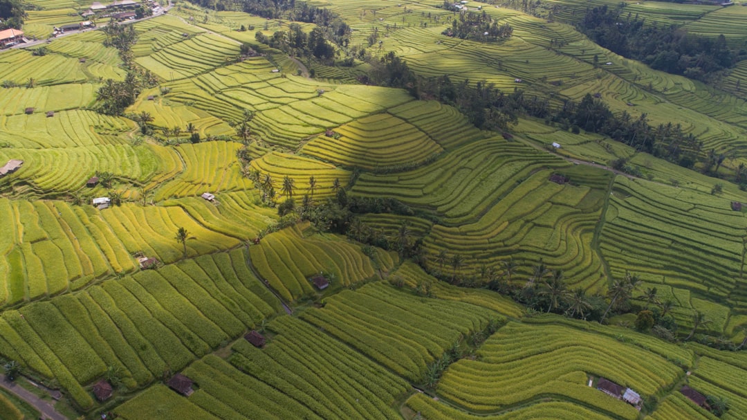 Highland photo spot Jatiluwih Ubud