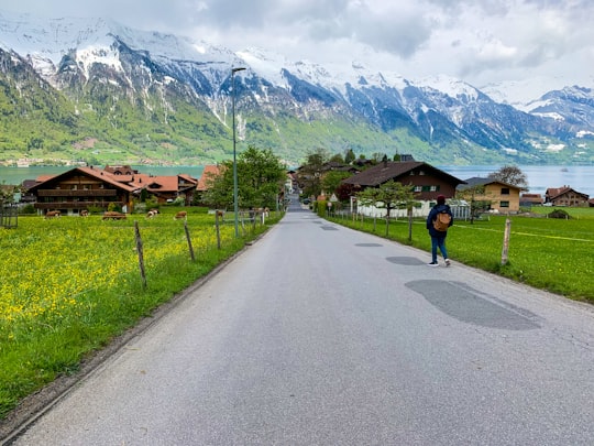 person in blue shirt walking on gray asphalt road during daytime in Iseltwald Switzerland