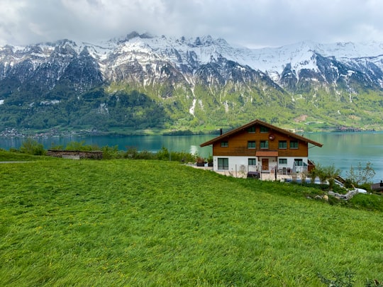 white and brown house near green grass field and mountain during daytime in Iseltwald Switzerland