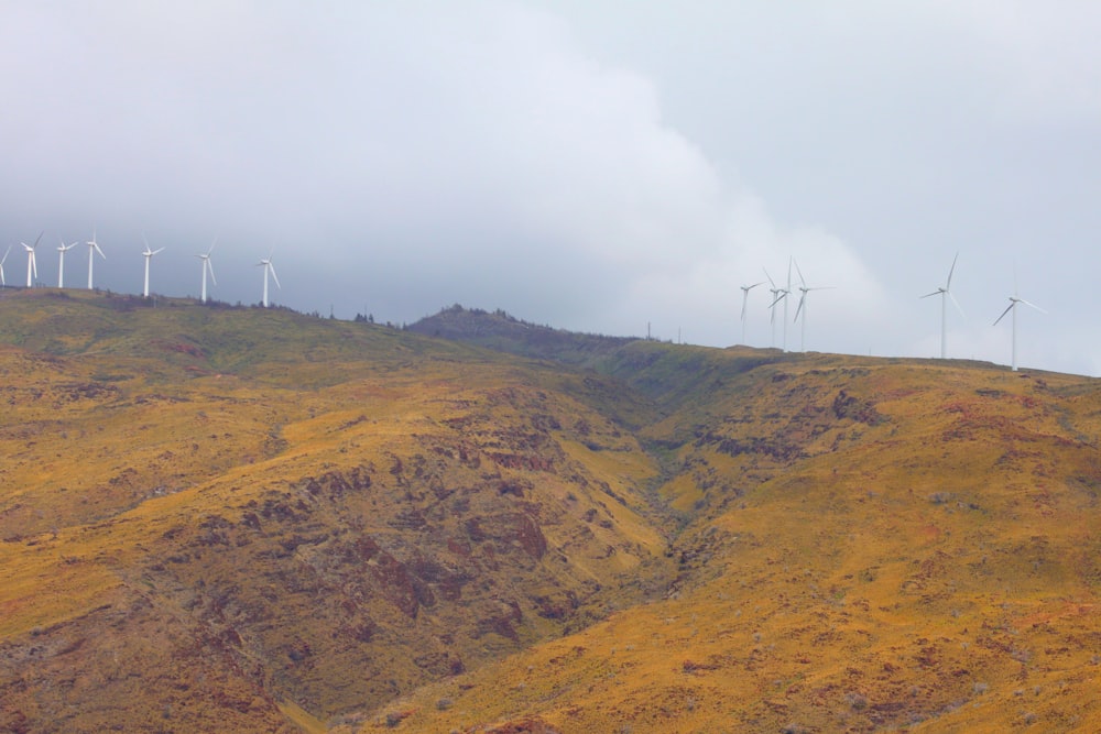 wind turbines on green grass field during daytime