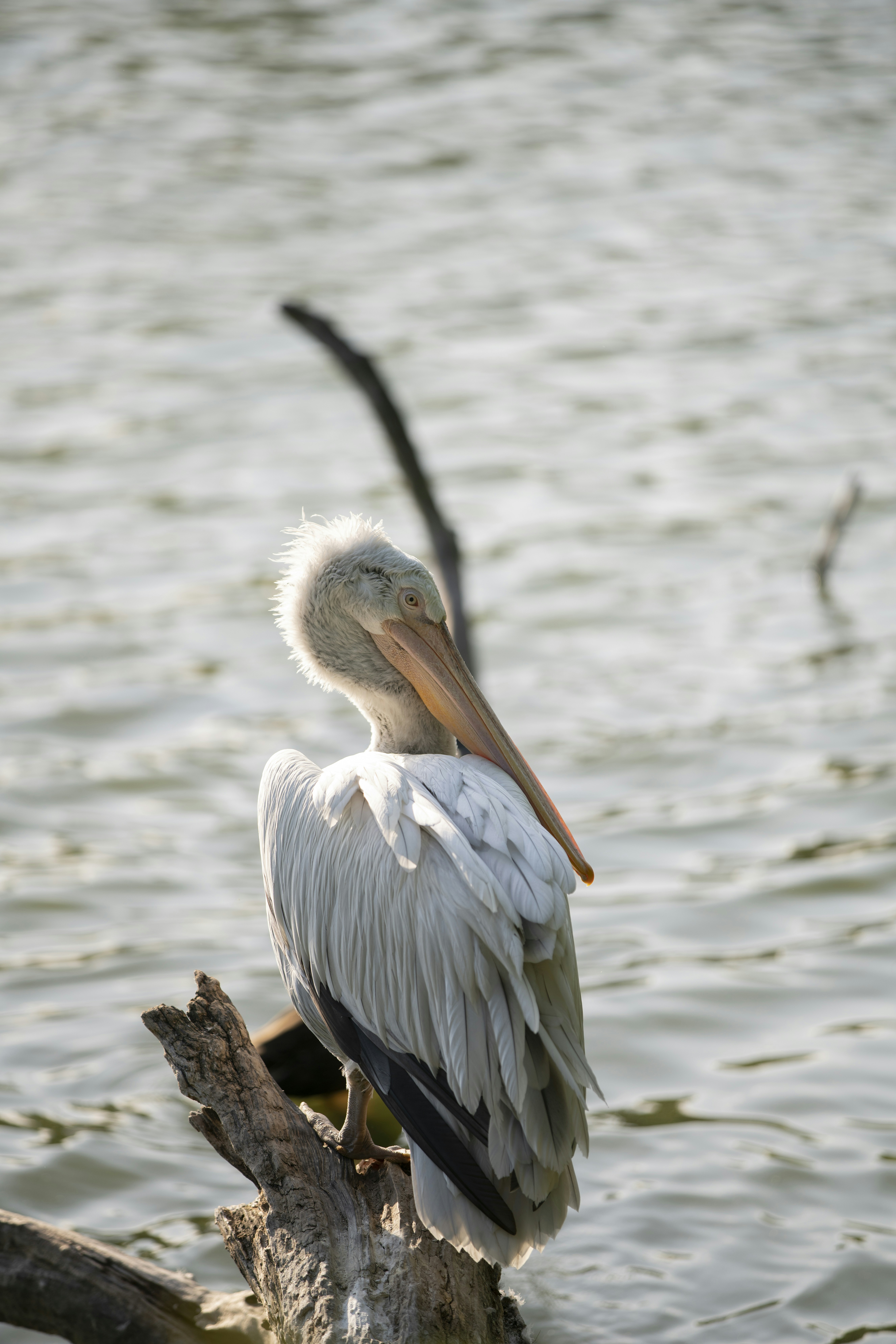 Photo by maybeimdreaming