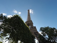 A serene view of the Eiffel Tower surrounded by blooming flowers.