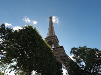 A serene view of the Eiffel Tower surrounded by blooming flowers.
