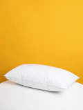 blanket