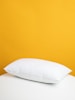 Silk Pillowcase Set x2