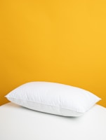 19 Mu Mi Silk Pillowcase Envelope style 100% mulberry silk double-sided Silk Pillowcase, Class a Silk pillowcase