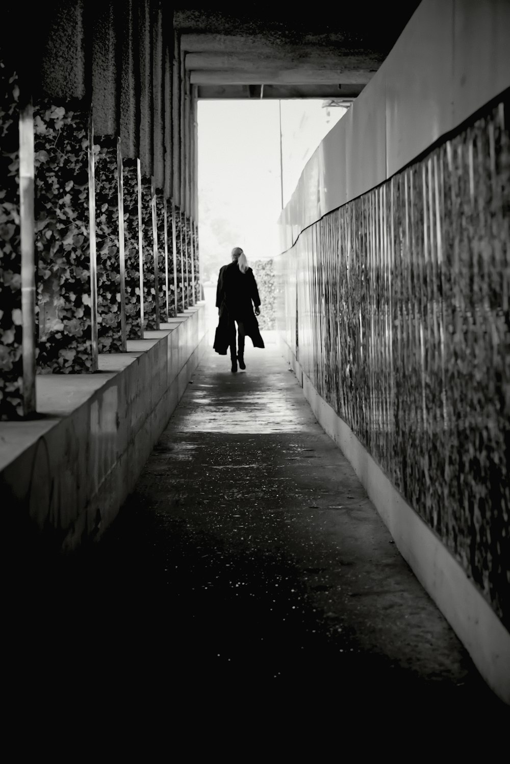 grayscale photo of woman walking on pathway