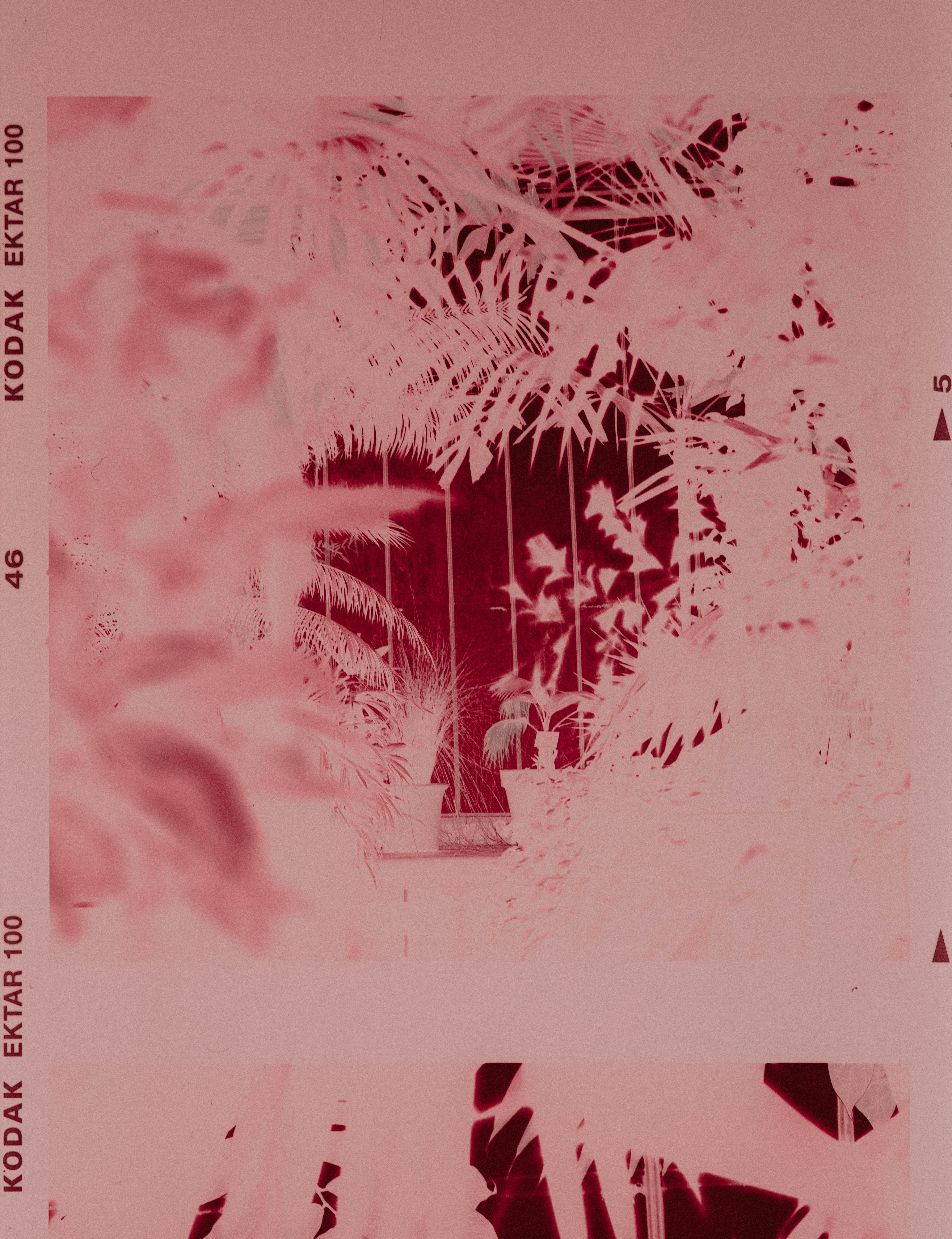 דינמיקה של זוגיות בנובלה "שבועת אמונים" מאת ש"י עגנון