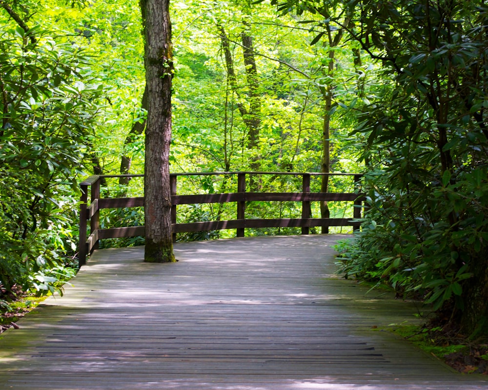 brown wooden bridge in the woods