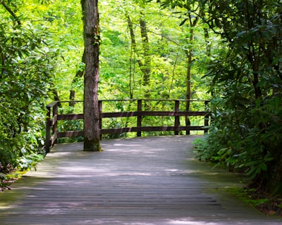 brown wooden bridge in the woods pennsylvania zoom background