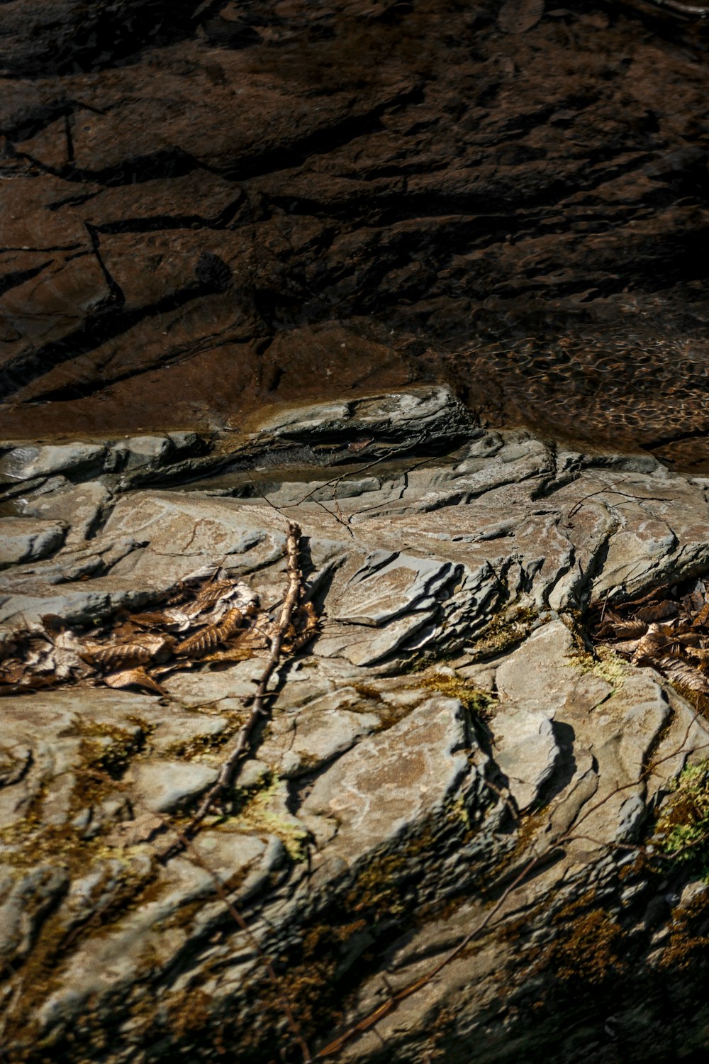 brown and gray rock formation