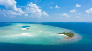 blue sea under blue sky during daytime