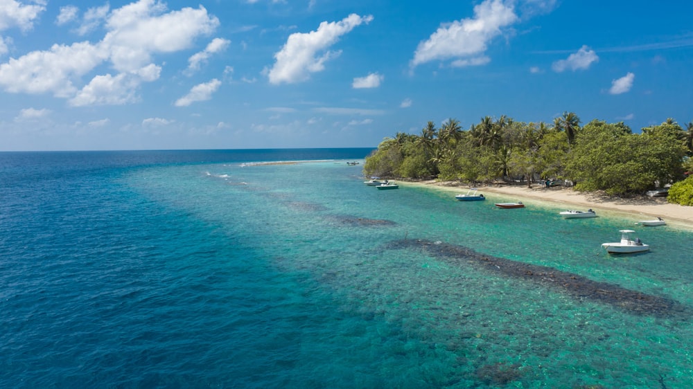 green trees on island during daytime