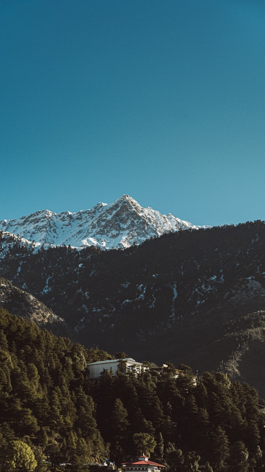 snow covered mountain under blue sky during daytime in Dharamshala India