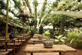 In an open-air setting with rustic wooden tables and benches in rows, small potted plants are placed on tables. The space is lush with greenery, featuring hanging and potted plants. Thatch-roofed structures and abundant natural light create a serene, garden-like ambiance.
