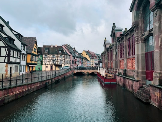 La Petite Venise things to do in Eguisheim