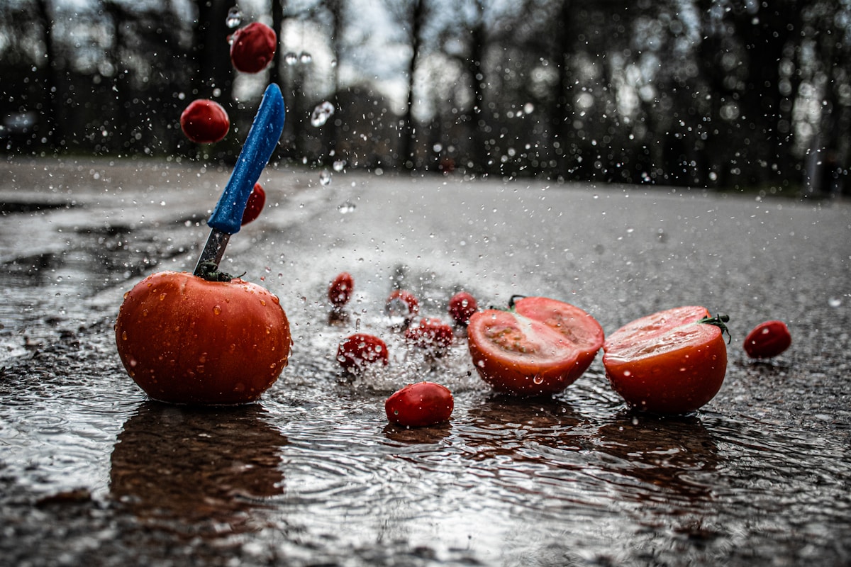 Monsoon Pakistan