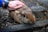 A child gently petting a fluffy bunny at a sunny outdoor event.