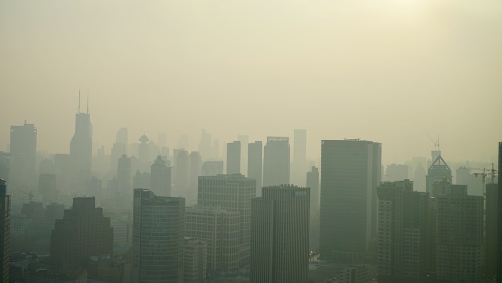 city skyline under white sky during daytime