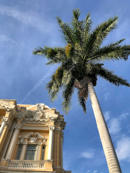 Palacio Cantón things to do in Yucatán