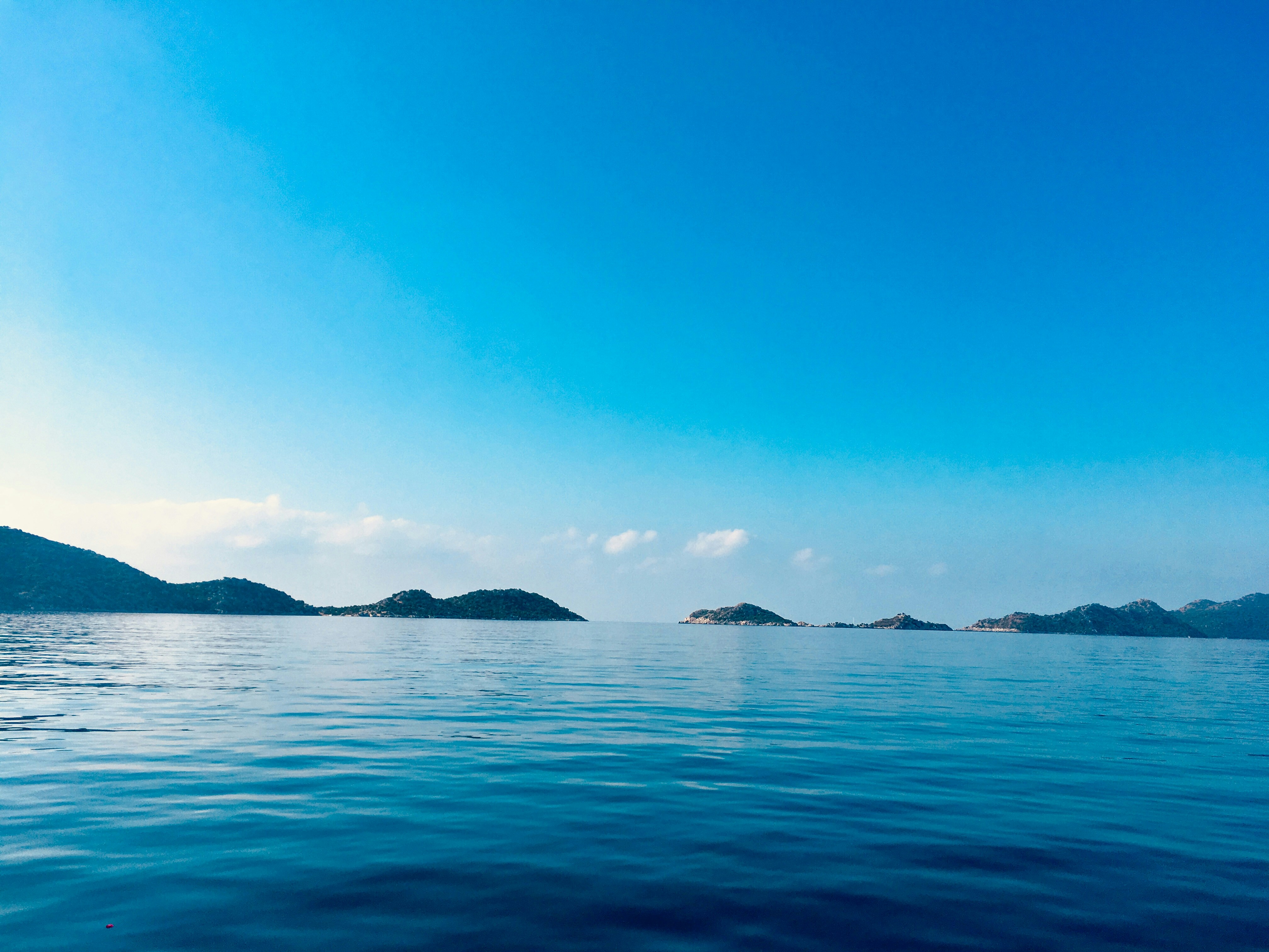 Photo by camille_plume