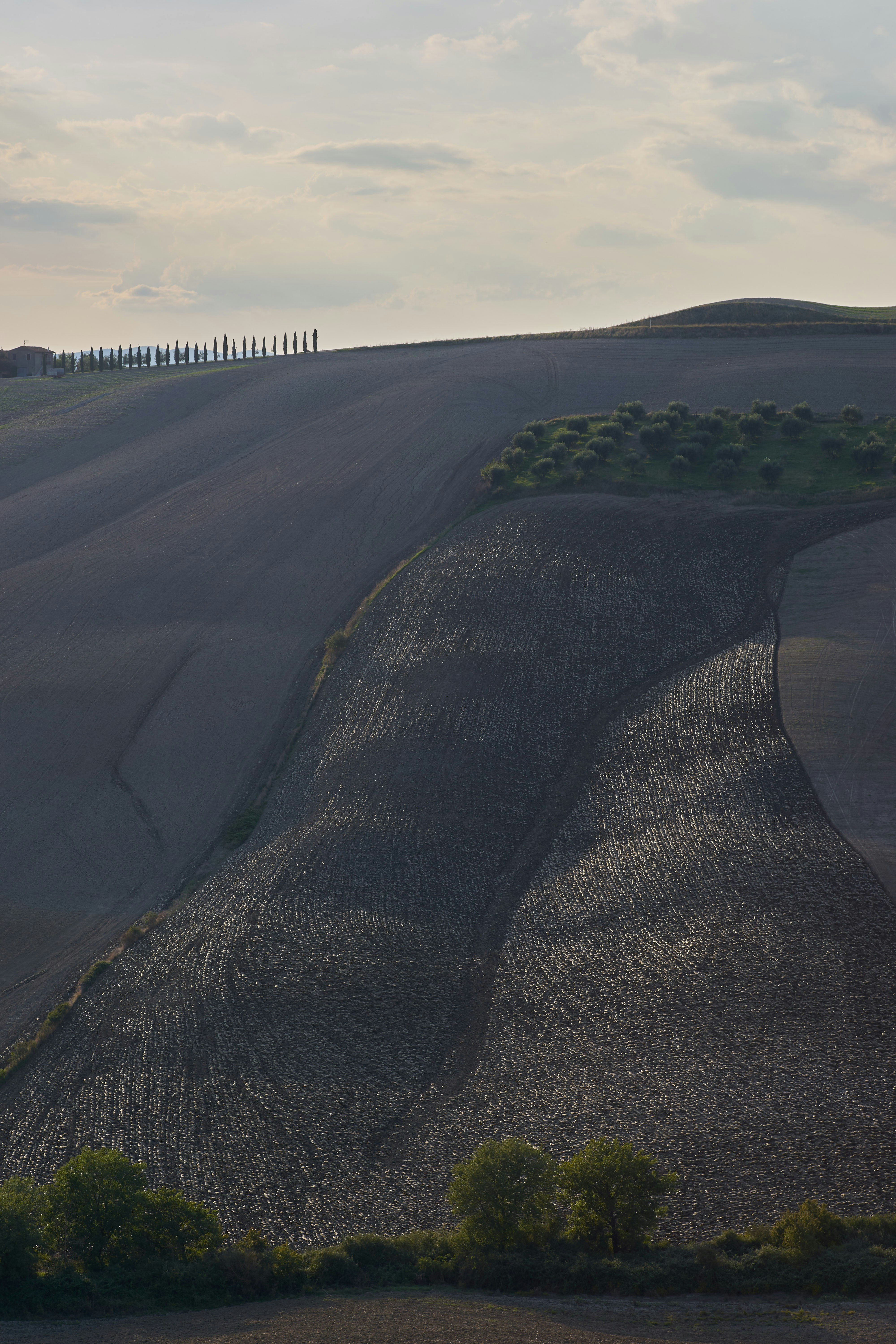 Land Improvement | Blizzard Management Plus's image